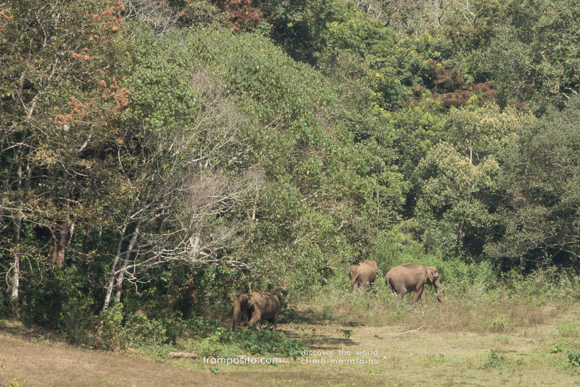 Periyar Nationalpark