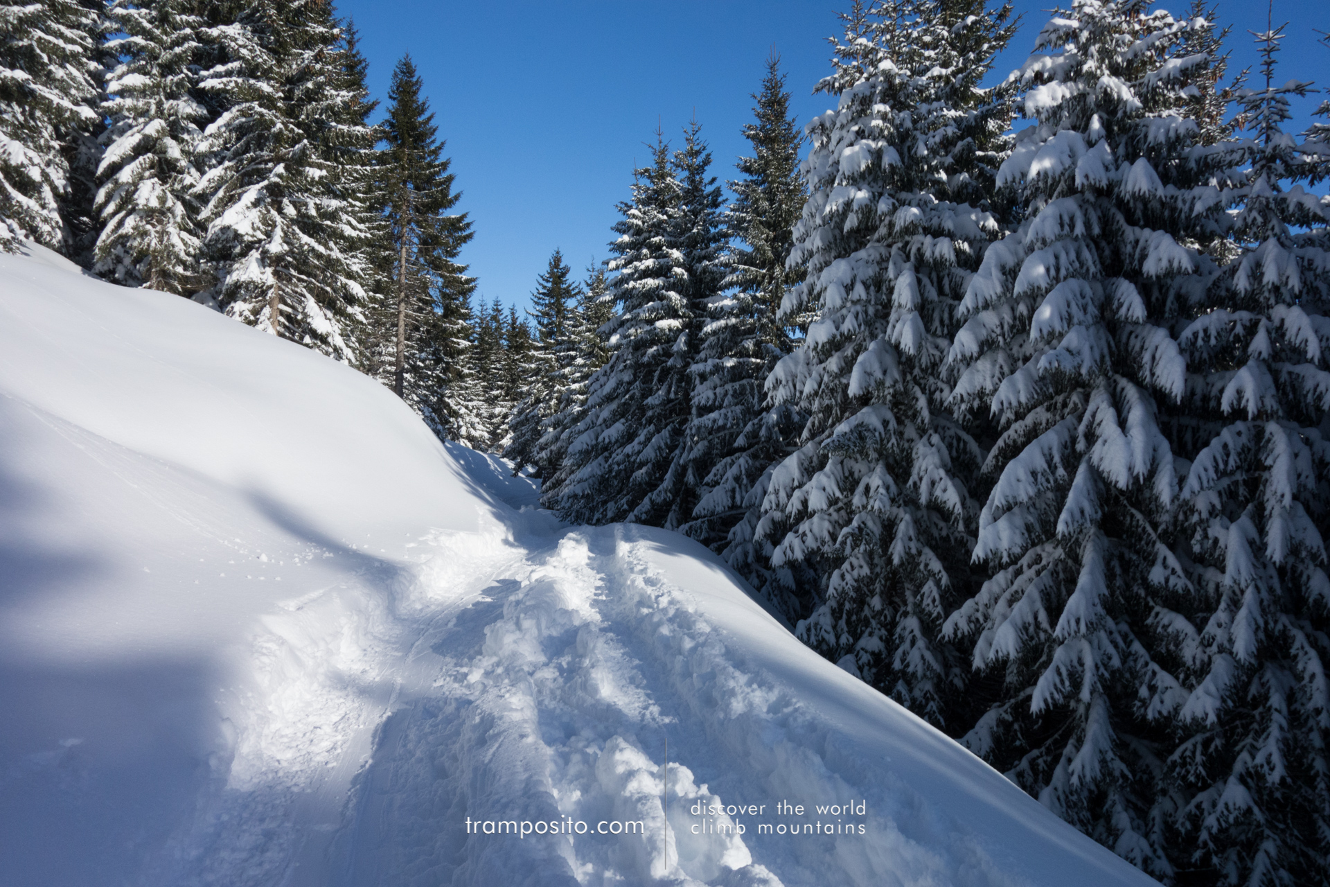 Biberacher Hütte