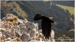 Koellepsitze-33
