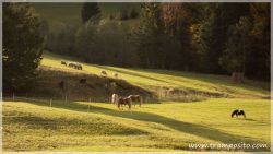 Zinken-Sorgschrofen-05