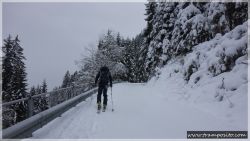 Ellesspitze-02