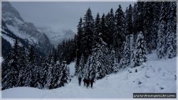 Ellesspitze-03