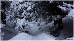 Roter-Kogel012