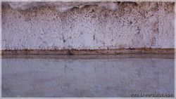 Salinas-19