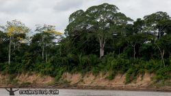 MonkIsland-106